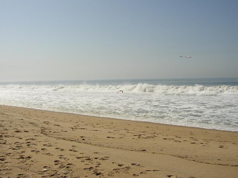L.A. Beach (19).JPG